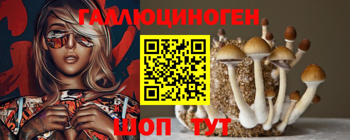 Галлюциногенные грибы Cubensis  Вход с VPN  Вышний Волочёк 